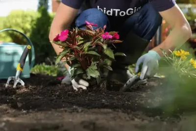 Gardening